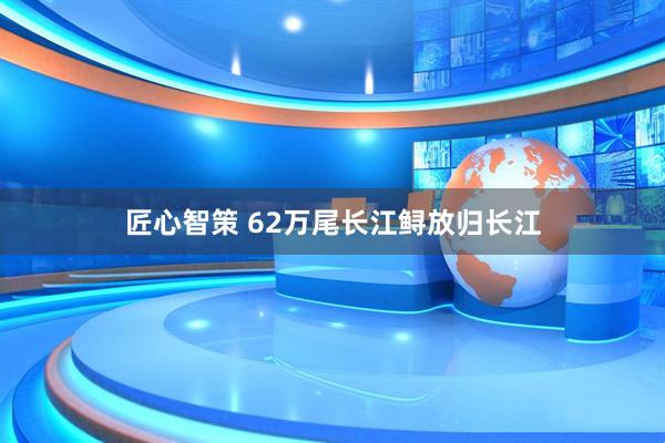 匠心智策 62万尾长江鲟放归长江