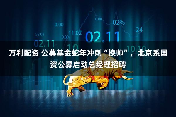 万利配资 公募基金蛇年冲刺“换帅”，北京系国资公募启动总经理招聘