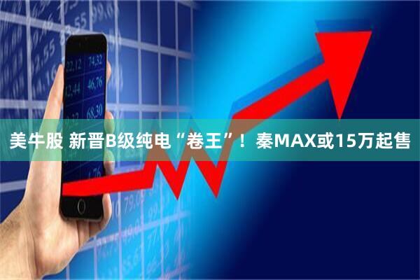 美牛股 新晋B级纯电“卷王”！秦MAX或15万起售